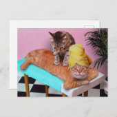 Orangefarbene Katze, die eine Massage durch eine K Postkarte (Vorne/Hinten)