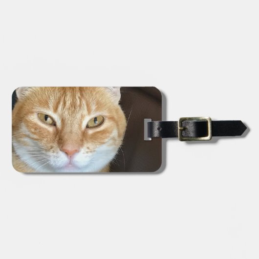 Orangefarbene Katze Gepäckanhänger (Vorderseite horizontal)