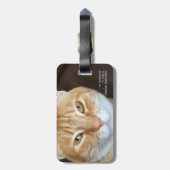 Orangefarbene Katze Gepäckanhänger (Rückseite vertikal)