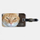Orangefarbene Katze Gepäckanhänger (Rückseite horizontal)