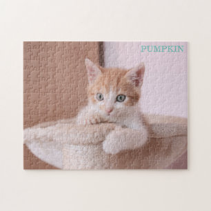 Orangefarbene Katze in Katzenbaum /Orange Kitten Puzzle