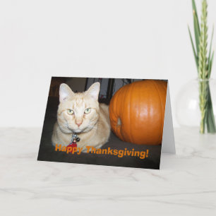 Orangefarbene Katze mit Pumpkin Happy Thanksgiving Feiertagskarte