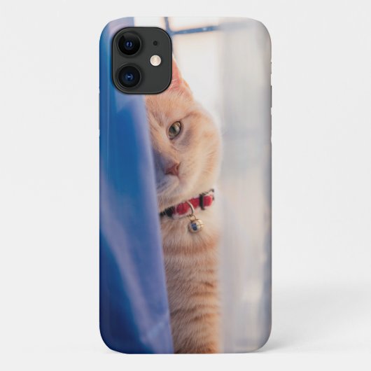 Orangefarbene Katze, nahe Halskette, blau Case-Mate iPhone Hülle (Rückseite)