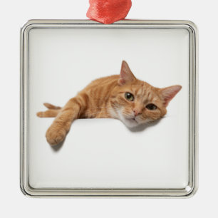 Orangefarbene Katze Ornament Aus Metall