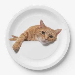 Orangefarbene Katze Pappteller