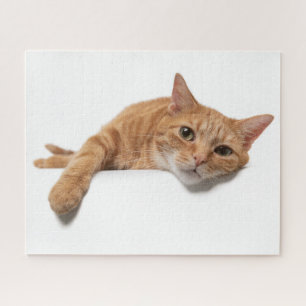 Orangefarbene Katze Puzzle