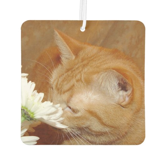 Orangefarbene Katze riecht nach den Blume Autolufterfrischer (Rückseite)