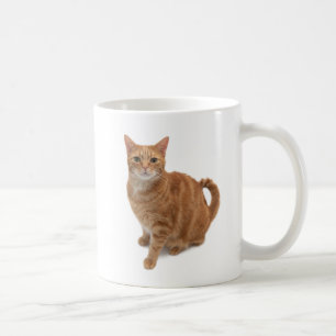 Orangefarbene Katze Stehend Kaffeetasse
