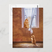 Orangefarbene Katzen Postkarte (Vorne/Hinten)