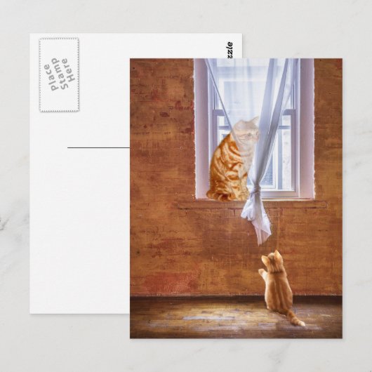 Orangefarbene Katzen Postkarte (Vorne/Hinten)