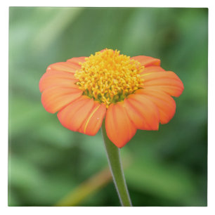Orangefarbene Keramik Fliese