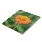 Orangefarbene Keramik Fliese (Seite)
