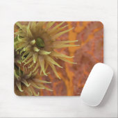 Orangefarbene Koralle Mousepad (Mit Mouse)