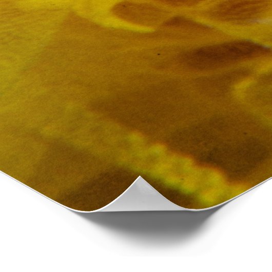 Orangefarbene Koralle Poster (Ecke)