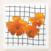 Orangefarbene Kosmos-Blume am Schwarzen Raster auf Glasuntersetzer (Vorderseite)