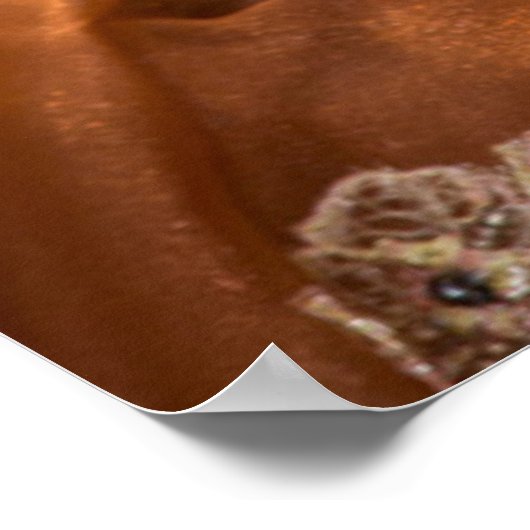 Orangefarbene Kostüme, Venedig Poster (Ecke)