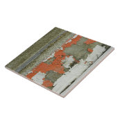 Orangefarbene Kronenfarbe auf der Betonwand Fliese (Seite)