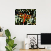 Orangefarbene Libelle mit offenen Flügeln Poster (Heimbüro)