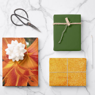Orangefarbene Lilienblumen-Foto mit festem grünem Geschenkpapier Set