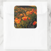 Orangefarbene mexikanische Goldpuppen blühen im Fr Quadratischer Aufkleber (Tasche)