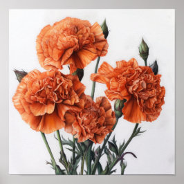 Orangefarbene Nelken Blume Art Print Poster