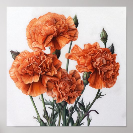 Orangefarbene Nelken Blume Art Print Poster (Vorne)