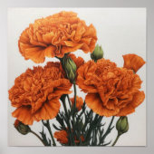 Orangefarbene Nelken Blume Art Print Poster (Vorne)