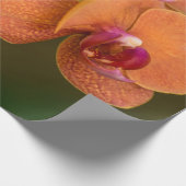 Orangefarbene Orchideen-Blume Geschenkpapier (Ecke)