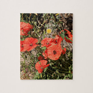 Orangefarbene Pfeffer auf El Camino Puzzle