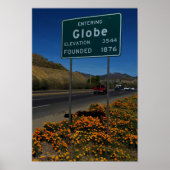 Orangefarbene Pflaumen in Globe Arizona Poster (Vorne)