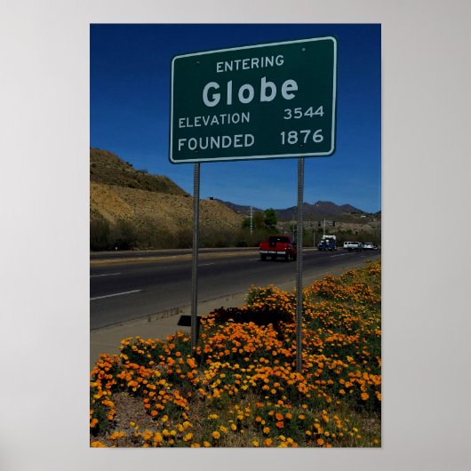 Orangefarbene Pflaumen in Globe Arizona Poster (Vorne)