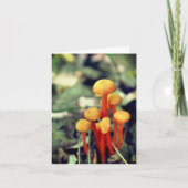 Orangefarbene Pilzsorte Dankeskarte (Vorderseite)