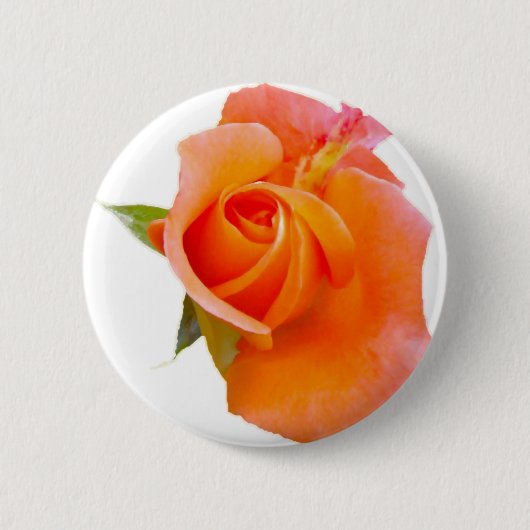 Orangefarbene Rose / Abzeichen / Brosche Button (Vorderseite)