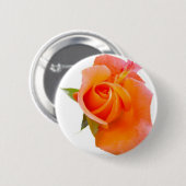Orangefarbene Rose / Abzeichen / Brosche Button (Vorne & Hinten)
