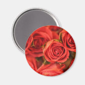 Orangefarbene Rose Foto-Kunstmagnet Magnet (Vorderseite/Rückseite)