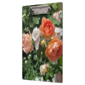 Orangefarbene Rose Klemmbrett (Links)