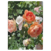 Orangefarbene Rose Klemmbrett (Rückseite)