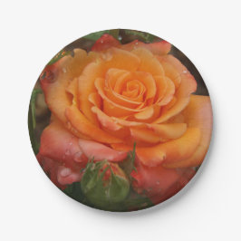 Orangefarbene Rose Pappteller