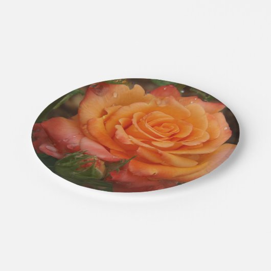 Orangefarbene Rose Pappteller (Schrägansicht)