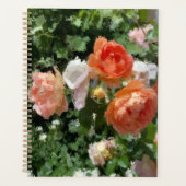 Orangefarbene Rose Planer (Vorderseite)