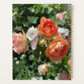 Orangefarbene Rose Planer (Rückseite)