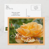 Orangefarbene Rose Postkarte (Vorne/Hinten)