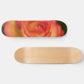 Orangefarbene Rose Skateboard (Horizontal)