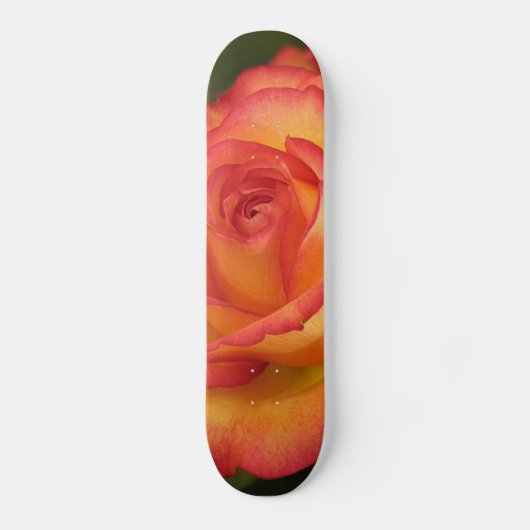 Orangefarbene Rose Skateboard (Vorderseite)