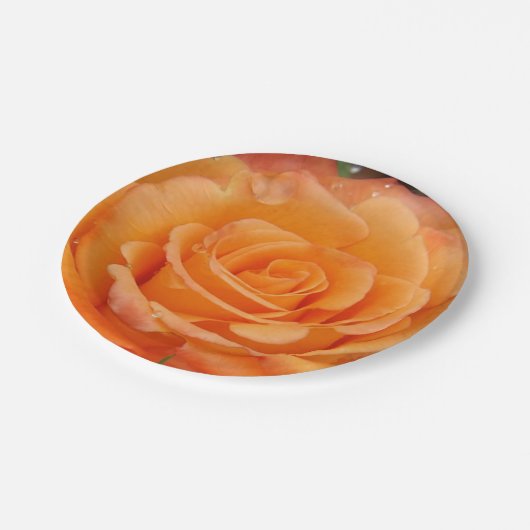 Orangefarbene Rose Teller (Schrägansicht)