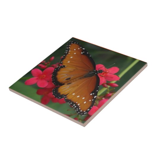 Orangefarbene Schmetterlinge Fliese (Seite)