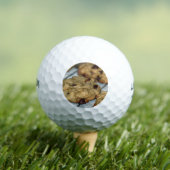 Orangefarbene Schokolade Chip Cookies Golfball (Insitu T-Shirt)