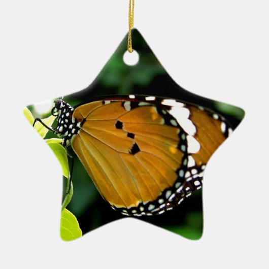 Orangefarbene, schwarze und weiße Schmetterlinge a Keramikornament (Vorne)