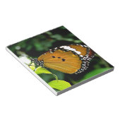 Orangefarbene, schwarze und weiße Schmetterlinge a Notizblock (angewinkelt)