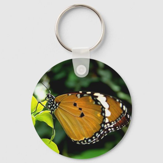 Orangefarbene, schwarze und weiße Schmetterlinge a Schlüsselanhänger (Vorderseite)